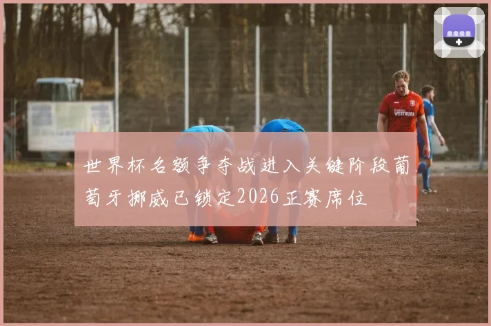 世界杯名额争夺战进入关键阶段葡萄牙挪威已锁定2026正赛席位