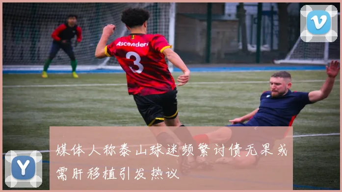 媒体人称泰山球迷频繁讨债无果或需肝移植引发热议
